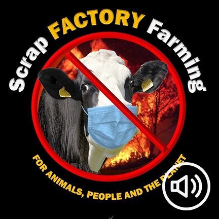 How the legacy of Martin's Act is reflected in today's efforts to scrap factory farming